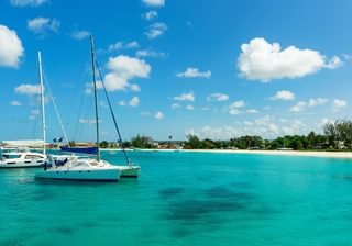 Catamarans on the Sunny Tropical Caribbean Island of Barbados Canva Pro Catamarans on the Sunny Tropical Caribbean Island of Barbados Canva Pro