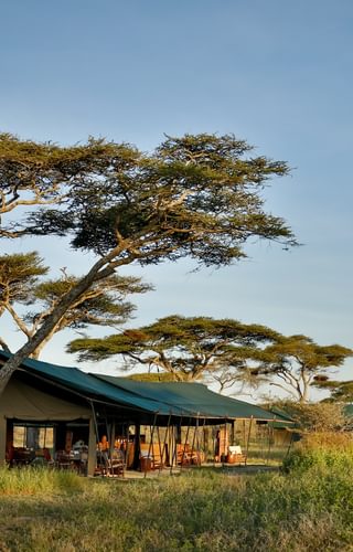 Chaka Camp Mobile Surroundings Chaka Camp Mobile Surroundings