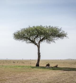 Masai Mara Wedding location - credit Cheka Photography