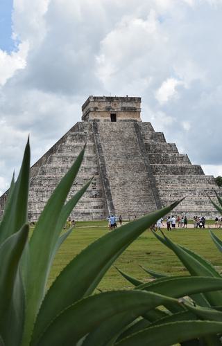 Chichen itza pyramid mexico plants