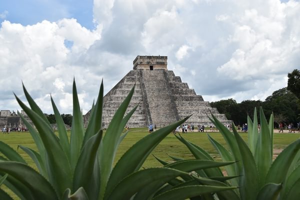 Chichen itza pyramid mexico plants Chichen itza pyramid mexico plants