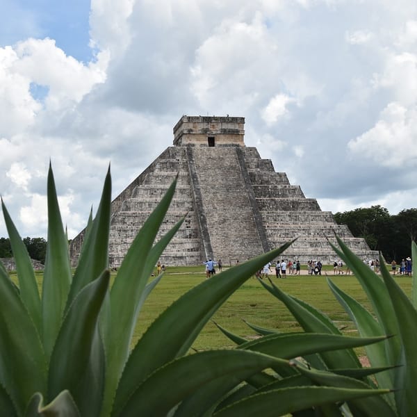 Chichen itza pyramid mexico plants