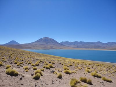 Chile Laguna Miscanti Pixabay Chile Laguna Miscanti Pixabay