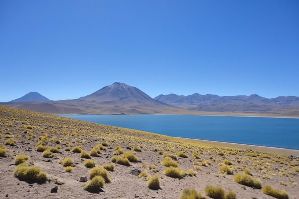 Chile Laguna Miscanti Pixabay Chile Laguna Miscanti Pixabay