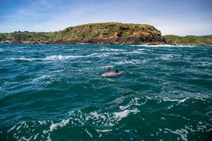 Chiloé Island