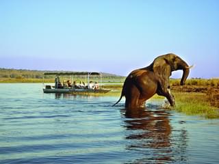 Chobe Safari Lodge, Botswana - River Safari