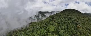 Cloud forest Costa Rica min