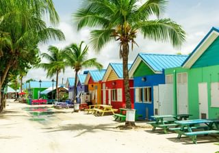 Colourful houses on the tropical island of Barbados Canva Pro Colourful houses on the tropical island of Barbados Canva Pro