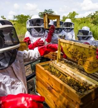 Community Beekepers For Honey Production Cr Naude Heunis 18