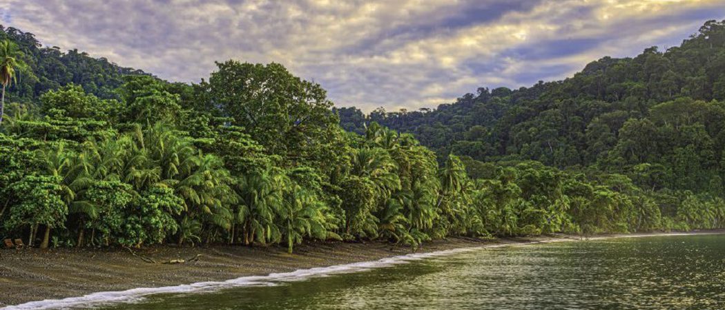 Corcovado Costa Rica