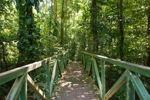 Costa Rica Rainforest walkway Jaco