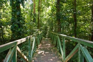 Costa Rica Rainforest walkway Jaco Costa Rica Rainforest walkway Jaco