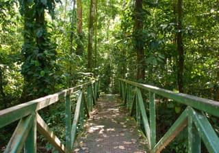 Costa Rica Rainforest walkway Jaco