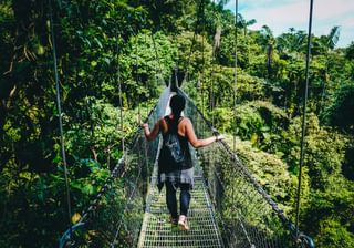 Costa Rica Rope Bridge Costa Rica Rope Bridge