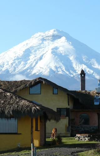 Cotopaxi view Chilcabamba Lodge Andes Ecuador 1