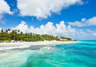 Crane Beach Barbados Canva Pro Crane Beach Barbados Canva Pro