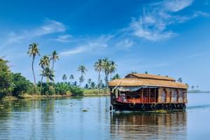 Cruise The  Backwaters