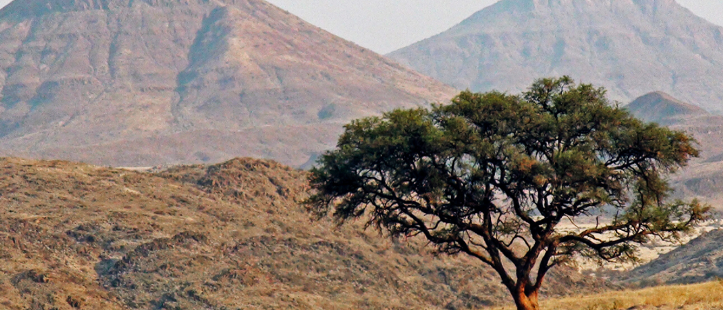 Damaraland