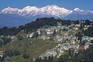 Darjeeling Mountain Views