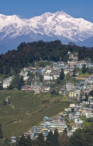 Darjeeling Mountain Views