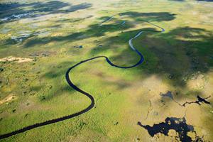 Delta  Camp  Game  Viewing And  Landscape Canoe