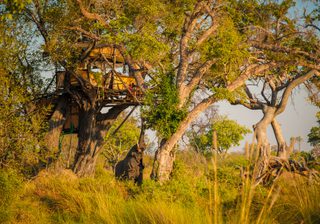 Delta Camp Treehouse 1 Delta Camp Treehouse 1