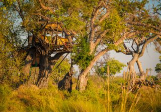 Delta Camp Treehouse 1