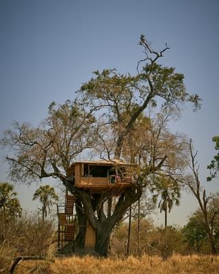 Delta Camp Treehouse 2023
