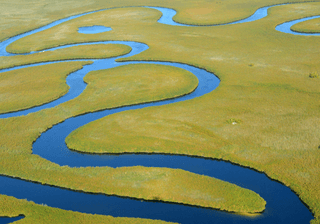 Delta del Okavango Canva Pro Delta del Okavango Canva Pro