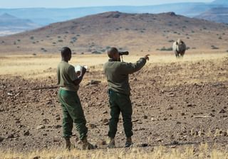 Desert Rhino Camp 5 Desert Rhino Camp 5