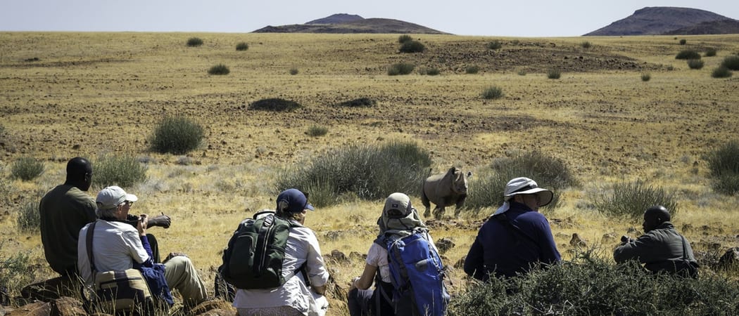 Desert Rhino Camp walking safari