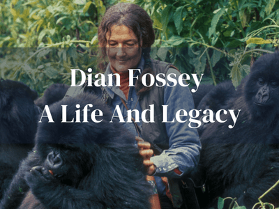 Dian Fossey Life Legacy