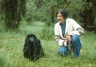 Dian Fossey Mountain Gorilla Rwanda Dian Fossey Mountain Gorilla Rwanda