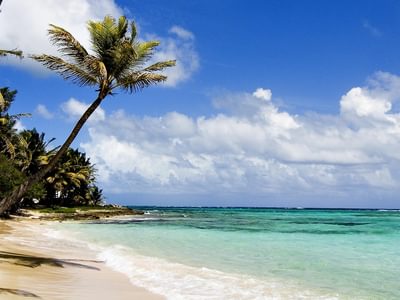Diani Beach Diani Beach