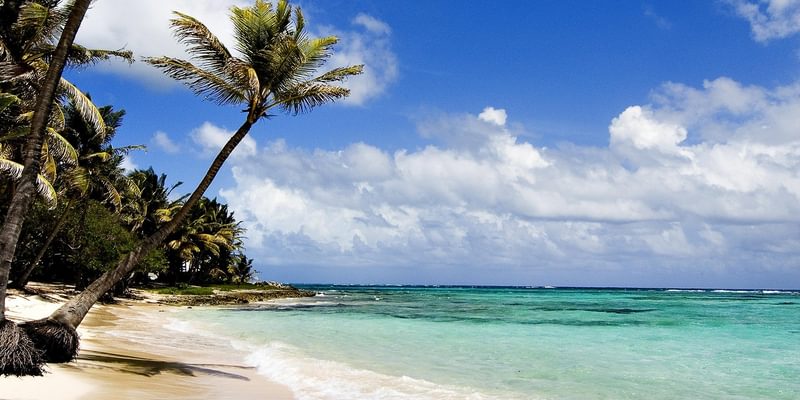 Diani Beach Diani Beach