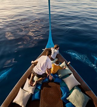Dolphin Cruise Dolphin Cruise