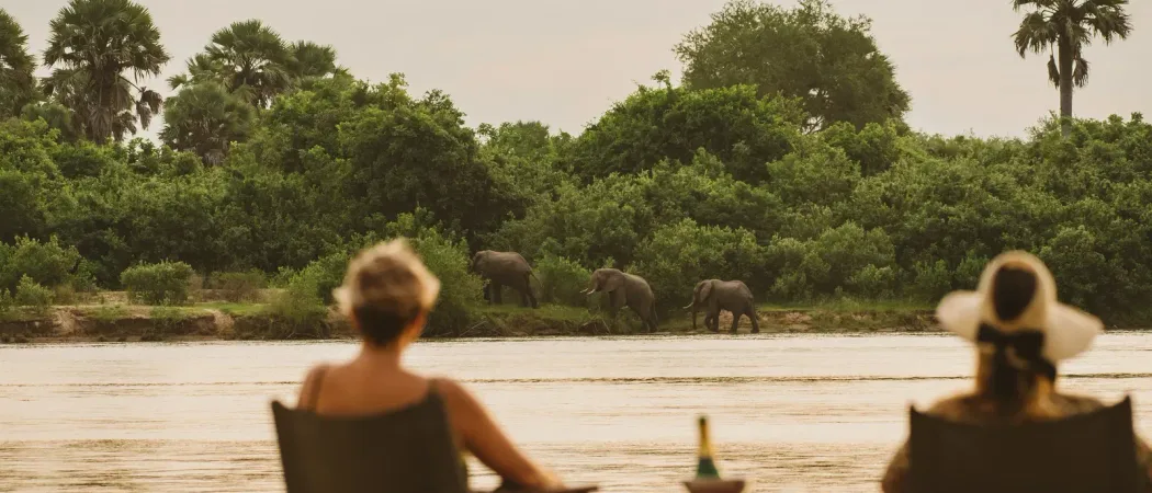 Drinks by the river Rufiji River Camp