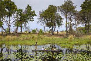 Duba Explorers Camp Mokoro Safari