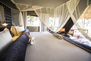 Duba Explorers Camp Suite