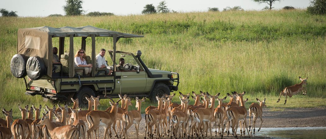 Dunia Camp Game Drive