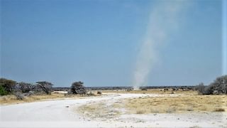 Dust Devil Etosha Dust Devil Etosha