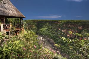 Early Morning At Gorges Lodge