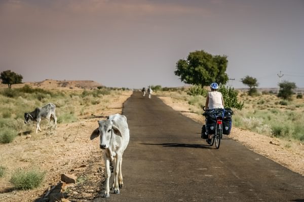 Easy Cycling In Rajasthan Easy Cycling In Rajasthan