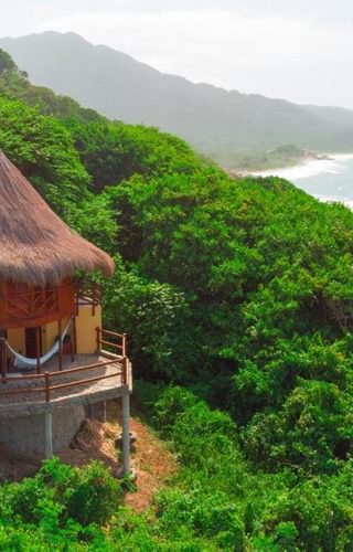 Ecohabs ariel Ecohabs ariel