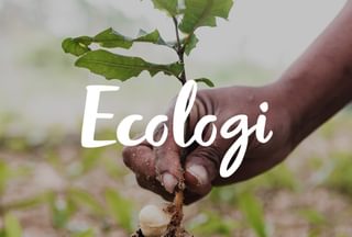 Ecologi Brand 1x1 03 rect Ecologi Brand 1x1 03 rect