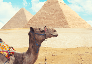 Egypt Cairo Giza Canva Pr Egypt Cairo Giza Canva Pr