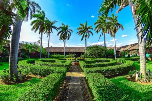El Convento gardens El Convento gardens