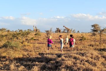 El Karama hero image El Karama hero image