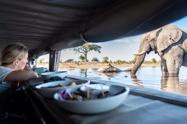 Elephant Pan Sunken Hide Botswana Elephant Pan Sunken Hide Botswana