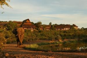 Elephant Visiting Victoria Falls Safari Suites